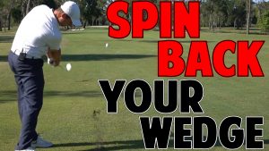 How to Spin Back Your Wedges