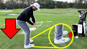 Finally Stay In Posture & Stop Stand