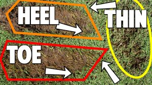 Divots Matter